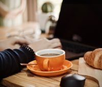 Recension Cornucopia blogg