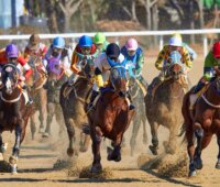 Kuskrivaler inom hästkapplöpning